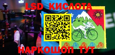 гашик Моздок