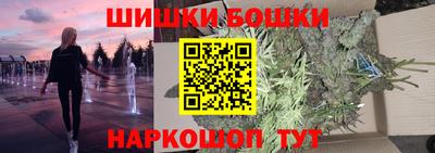 гашик Моздок