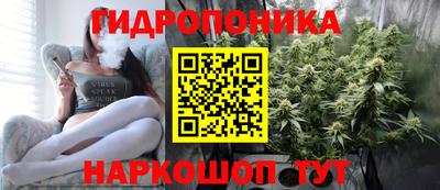 шишки Новодвинск