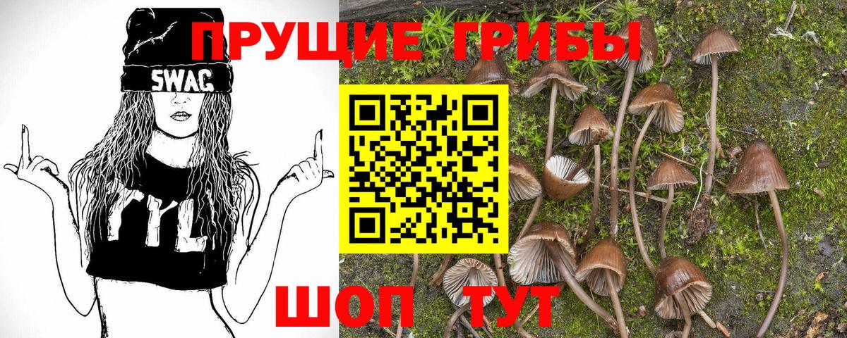Галлюциногенные грибы Magic Shrooms Алексеевка