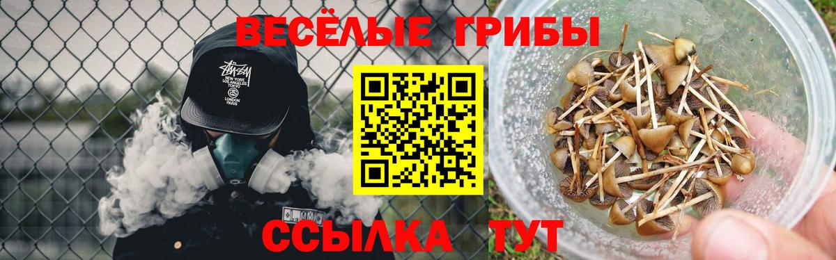Галлюциногенные грибы Cubensis  Вход с VPN  Алексеевка 